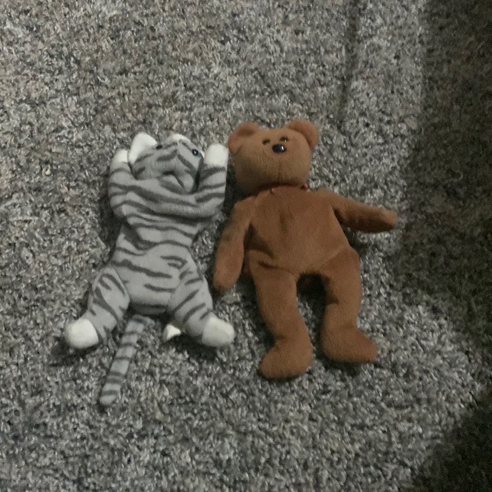 A cat and a bear